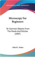 Microscopy For Beginners