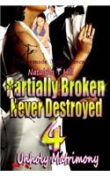 Partially Broken Never Destroyed IV