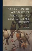 Gossip On the Wild Birds of Norwood and Crystal Palace District