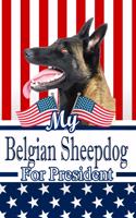 My Belgian Sheepdog for President