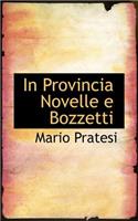 In Provincia Novelle E Bozzetti