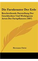 Farnkrauter Der Erde