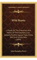 Wild Beasts