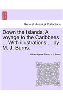 Down the Islands. a Voyage to the Caribbees ... with Illustrations ... by M. J. Burns.