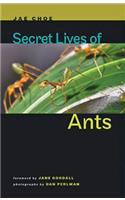 Secret Lives of Ants