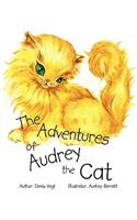 Adventures of Audrey the Cat