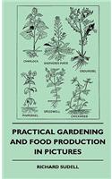 Practical Gardening And Food Production In Pictures