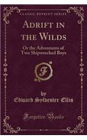 Adrift in the Wilds: Or the Adventures of Two Shipwrecked Boys (Classic Reprint)