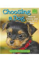 Choosing a Dog