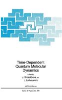 Time-Dependent Quantum Molecular Dynamics