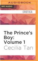 Prince's Boy: Volume 1