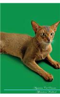 Abyssinian Cat Affirmations Workbook Abyssinian Cat Presents