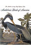 Audubon's Birds of America