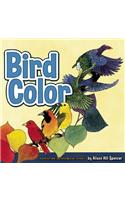 Bird Color