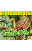 Grasshoppers: (Fascinating Insects)