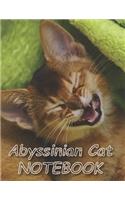 Abyssinian Cat NOTEBOOK: Notebooks and Journals 110 pages (8.5"x11")