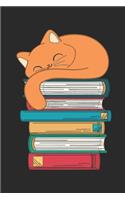 Cat And Books