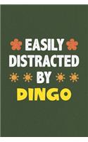 Easily Distracted By Dingo