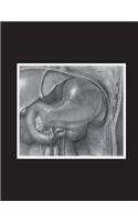 Dissection Showing Viscera Notebook