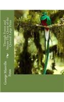 Through Forest and Stream The Quest of the Quetzal