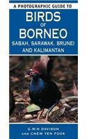 Photographic Guide to Birds of Borneo