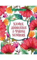 Large Print Names & Address Book