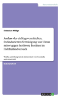 Analyse der eiablagevermittelten, fraßinduzierten Verteidigung von Ulmus minor gegen herbivore Insekten im Halbfreilandversuch