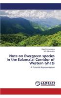 Note on Evergreen species in the Ealamalai Corridor of Western Ghats