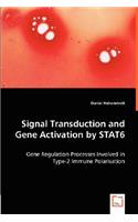 Signal Transduction and Gene Activation by STAT6 - Gene Regulation Processes Involved in Type-2 Immune Polarisation