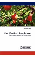 Fructification of apple trees