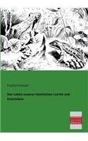Das Leben Unserer Heimischen Lurche Und Kriechtiere
