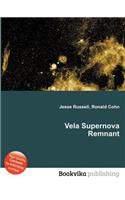 Vela Supernova Remnant