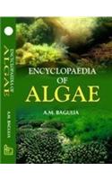 Encyclopaedia of Algae