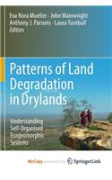 Patterns of Land Degradation in Drylands