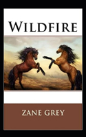 Wildfire Annotated