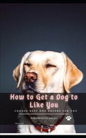 How tо Get а Dog tо Like You