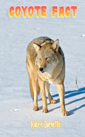 Coyote Fact: COYOTE fact for girl age 1-10 COYOTE fact for boy age 1-10 facts about all about COYOTE