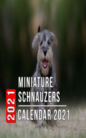 Miniature Schnauzers Calendar 2021: 12 Month Mini Calendar from Jan 2021 to Dec 2021, Cute Gift Idea - Pictures in Every Month
