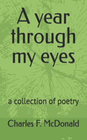 year through my eyes