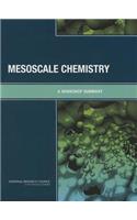 Mesoscale Chemistry: A Workshop Summary