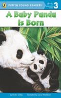 PYR LV 3 : Baby Panda Is Born