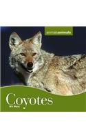 Coyotes