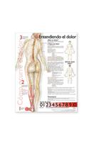 Understanding Pain Anatomical Chart in Spanish