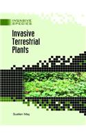 Invasive Terrestrial Plants