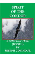 Spirit of the Condor