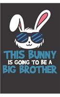 Notebook: Bunny Big Brother Baby Announcement Gift Easter Dot Grid 6x9 120 Pages