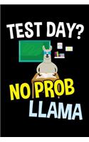 Test Day? No Prob Llama: A Journal, Notepad, or Diary to write down your thoughts. - 120 Page - 6x9 - College Ruled Journal - Writing Book, Personal Writing Space, Doodle, N