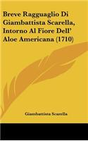 Breve Ragguaglio Di Giambattista Scarella, Intorno Al Fiore Dell' Aloe Americana (1710)