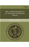 The Youth Perspective of Juvenile Treatment Courts