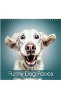 Funny Dog Faces 2017
